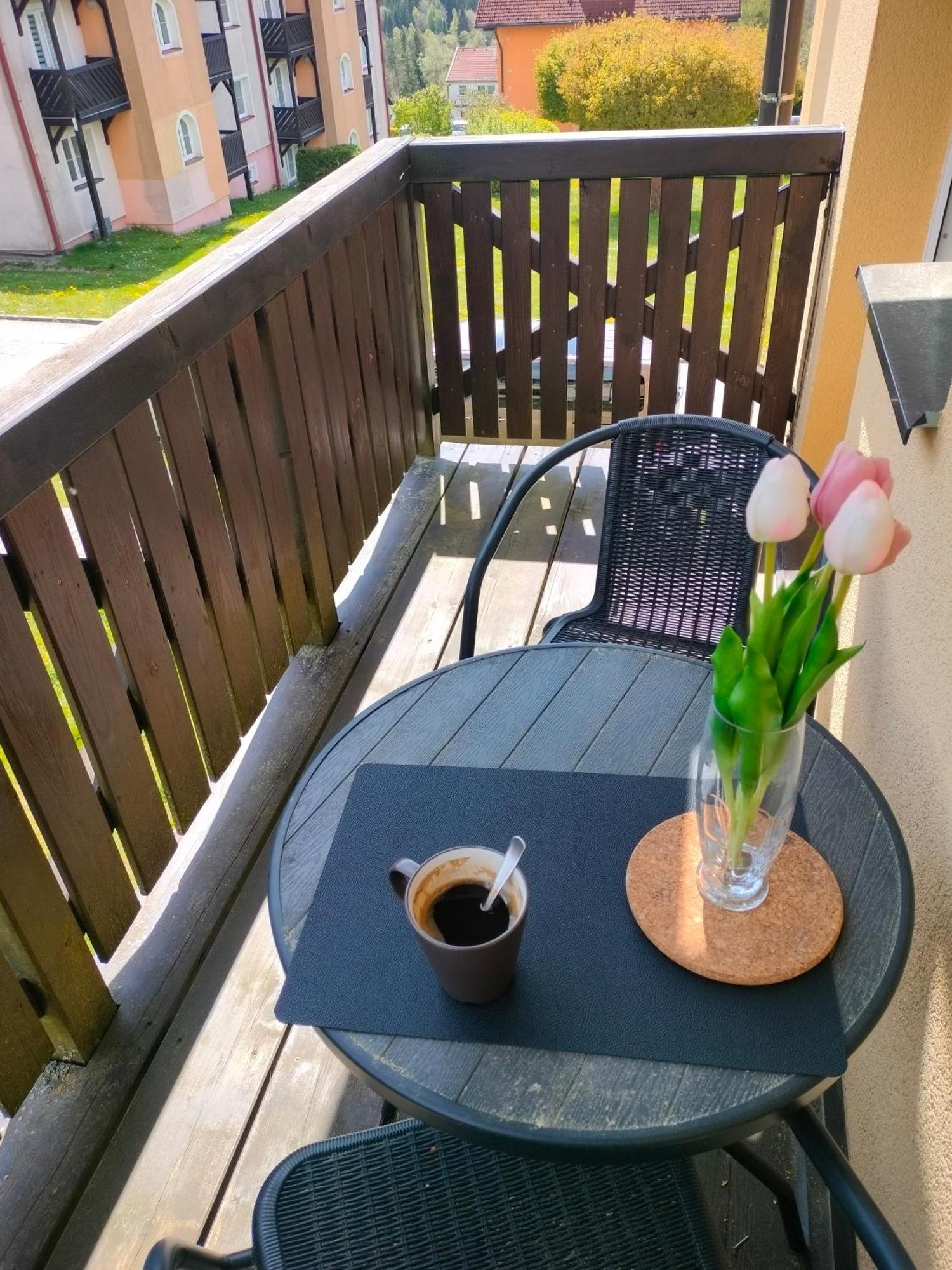 Apartman Aja - Lipno Nad Vltavou Luaran gambar